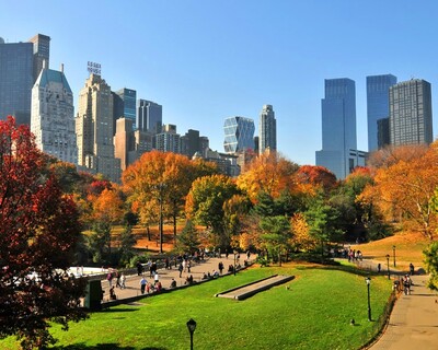 central park - Europeans in New York